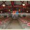 new design auotmatic full set of chicken farm equipments for sale