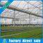 Used Commercial Greenhouse Multi-Span For Sale