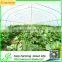 Hot Sale Commercial Plastic Tent Pests Net Design