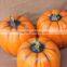 Wholesale resin pumpkin decoration craft wholesale artificial pumpkins