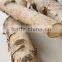Birch tree and birch bark decoration