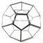 Stretched Dodecahedron 3 sizes Geometric Fruit Glass Terrarium