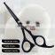 CS-50BB 5inch round tip ergonomic handle dog grooming scissors