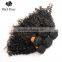 Black Rose Shengyuan Hair Factory Original Curly Indian Human Hair