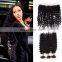 raw burmese curly hair transparent lace frontal with bundles wholesale virgin hair vendors