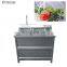 Ozone Ultrasonic Leafy Vegetable Fruit Broccoli Mushroom Eggplant Washing Machine