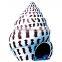 Cool Swimming Pool , Water Park fiberglass conch Spray Toys