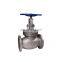Forged steel a105N socket weld globe valve