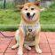 good quality dog harness vest adjustable pet harness with reflective strip