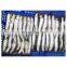 Good  quality BQF frozen anchovy fish block for processing