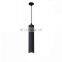30/60CM Golden Pipe LED Pendant Lamp Kitchen Dining Room Shop Bar Cylinder Long Tube LED Pendant Light