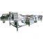 Vegetable Mango Dates Bubble Washing Machine Fruit And Vegetable Cleaning Machine for sale
