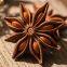Aniseed