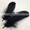 wholesale feather suppliers dyed black Goose feather trim                        
                                                Quality Choice