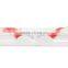 OEM Eyelashes Longer and Fuller Using Eyelash Extensions