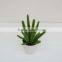 High quality artificial plant succulent plant tropical plant
