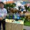 Dino Park equipment interactive body control dinosaur group