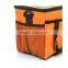 New arrival disposable cooler bag for frozen food