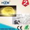 220v Illume Led SMD Strip Lighting Waterproof 5050 RGB Dimmer With Remote Controller