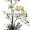 wholesale 15-150cm artificial flowers, artificial orchid,artificial plants