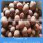 Expanded clay garden pebble balls for sale