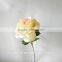 Cheap wholesale Beautiful Single Red Rose Flower