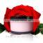 Mendior Face whitening hydrating rose face cream OEM custom brand