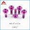 Best Factory Price Color Titanium Bolt Titanium Screws in Stock Quality Choice
