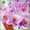 Artificial Butterfly Orchid Flower