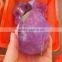 Wholesale Big Amethyst Geodes Points Crystal Healing Wand
