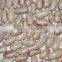 We are supply light speckelkidney beans with best price for sale