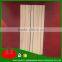 Finger joint laminated board in radiata paulownia / chile paulownia wood