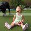 Certificated Turf Artificial Grass for Kids/Pets