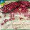 new Crop Dark Red Kidney Beans