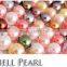 wholesale various colors and various shapes south sea shell pearl necklace pendant earring bracelet DIY loose beads