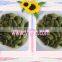 GWS snow white pumpkin seeds shine skin pumpkin seeds Roasted Spiced Pumpkin Seed Recipe