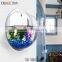 morden design wall mounted high transparent acrylic fish or plant display wholesale