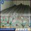 hot selling New Type construction material/Cold Rollrd Ribbed Steel Bar