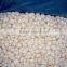 Factory of Frozen Peeled Garlic