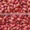 Groundnuts