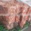 Supply china great Copper cathode 99.99% (A69)