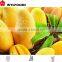 china price hot sales frozen mango dices