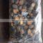 Best Price IQF Frozen Cooked Abalone