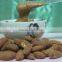 Peanut butter grinder machine