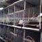 best selling rabbit drinker/nipple drinker for rabbit poultry farm equipment