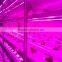 Greenhouse of single Container Plant factory