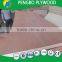 WBP Glue Furniture Grade Plywood/Bintangor Commercial Pywood/Film Faced Plywood