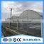 Agriculture vegetable greenhouses for roses