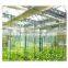 New energy base of agriculture