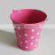 Factory Green Decorative Metal Bucket With Polka Dots in China